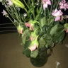 Lovely Flora World - mothers day flowers