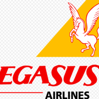 pegasus damaged baggage claim