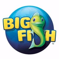 Big fish casino app review