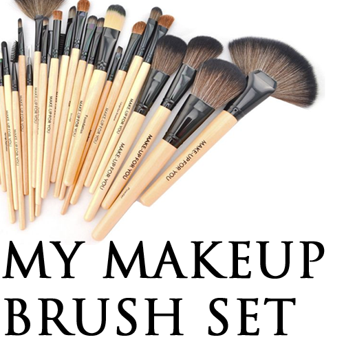 my makeup brush set